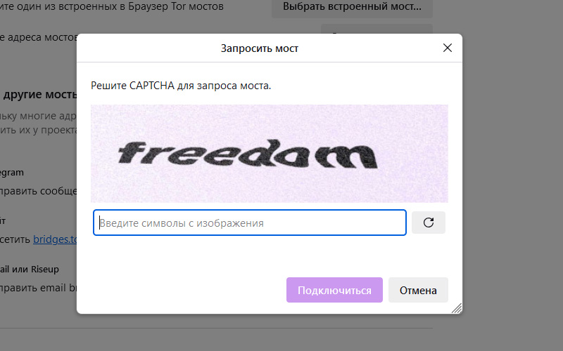 freedom